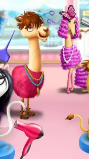 Animal Hair Salon Screenshot 5