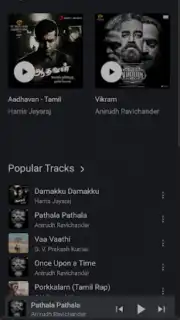 FLAC Music Screenshot 3