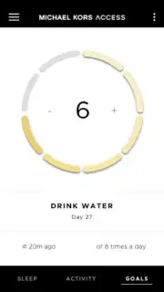 Michael Kors Access Screenshot 1