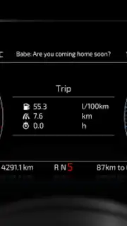 RealDash Screenshot 7
