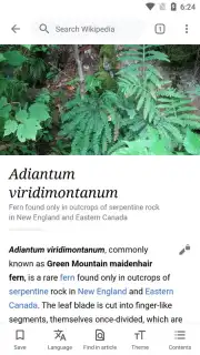 Wikipedia Screenshot 9