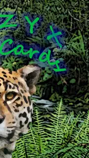 ZYXCards Screenshot 2