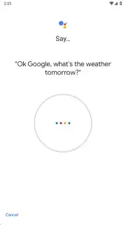 Google Assistant Screenshot 16