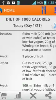 Diets for losing weight Screenshot 4