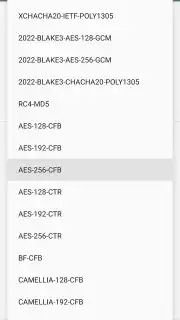 Shadowsocks Screenshot 22