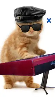 Talking, Dancing Cat. Screenshot 7