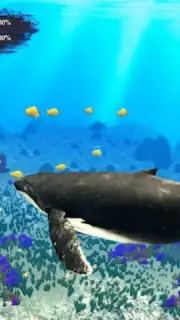 The Humpback Whales Screenshot 1