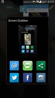 Screen Grabber Screenshot 1