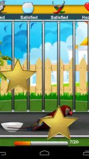 Parrot Pet Shop Screenshot 6