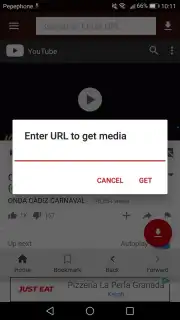VidCatch Screenshot 2