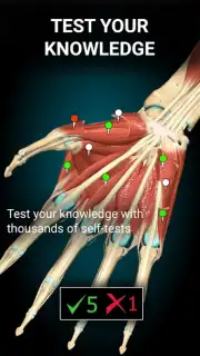 3D Anatomy Learning Screenshot 3