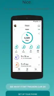 Fitbit Screenshot 5