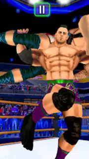 Real World Wrestling Arena Screenshot 1