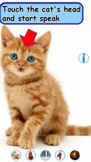 Talking, Dancing Cat. Screenshot 8