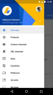 Google AdSense Screenshot 2