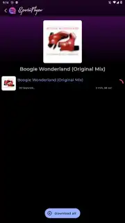 SpotiFlyer Screenshot 5