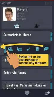 Mindjet Tasks Screenshot 4