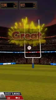 3D Flick Field Goal Screenshot 8