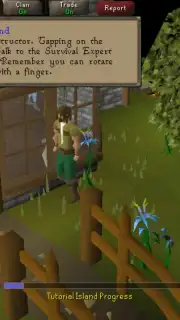 Old School RuneScape Screenshot 1