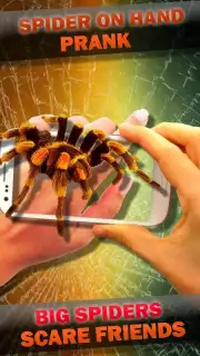 Паук в Камере Пранк Screenshot 2