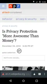 Krypton Anonymous Browser Screenshot 4