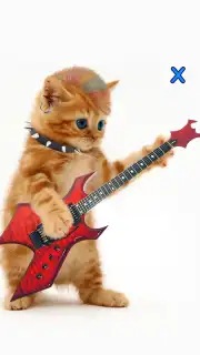 Talking, Dancing Cat. Screenshot 3