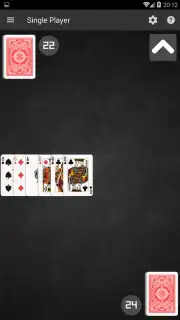 Salami Card Game Screenshot 3