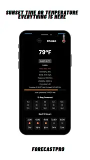 ForecastPro Screenshot 2