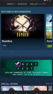 Steam Screenshot 2