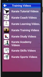 Karate Training Screenshot 2