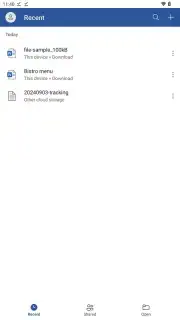 Microsoft Word Screenshot 1