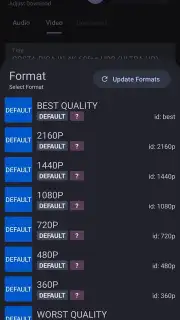 YTDLnis Screenshot 17