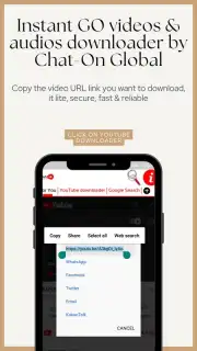 Instant GO videos & audios downloader Screenshot 3