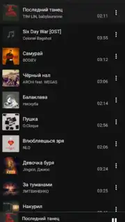 BiRD - Музыка из ВК Screenshot 3