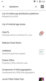 Wikipedia Screenshot 6