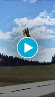 PicaSim Free Screenshot 1