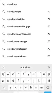 Google Chrome Screenshot 3