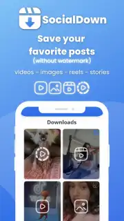 SocialDown: no watermark Screenshot 3