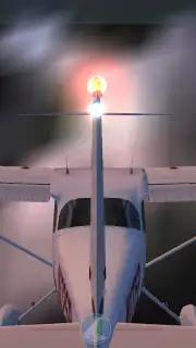 X-Plane Flight Simulator Screenshot 2