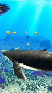 The Humpback Whales Screenshot 24
