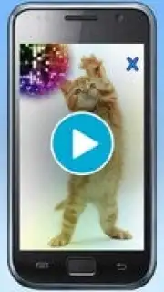 Talking, Dancing Cat. Screenshot 1