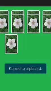 Spider Solitaire Game Screenshot 5