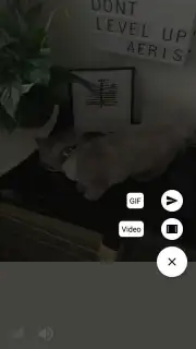 Motion Stills Screenshot 4