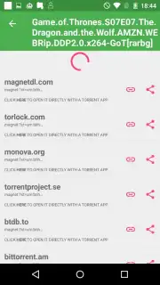 Torrent Search Screenshot 5