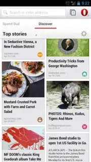 Opera Browser Screenshot 16