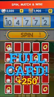 Slingo Shuffle Screenshot 3