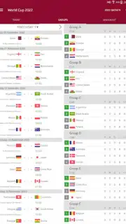 Live Scores for World Cup 2022 Screenshot 3