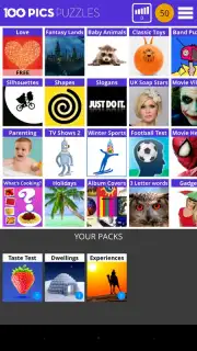 100 PICS Puzzles Screenshot 6