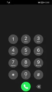 iPhone Style Call Screenshot 2