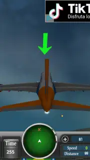 Airborne Simulator Screenshot 1